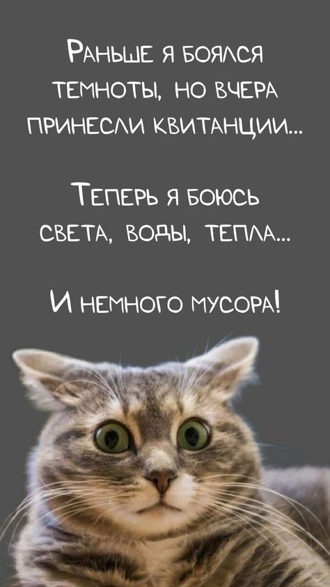 Так себе картинки 06.02.25