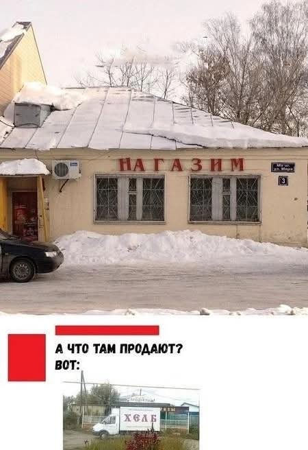 Веселые картинки в пятницу (14.02)