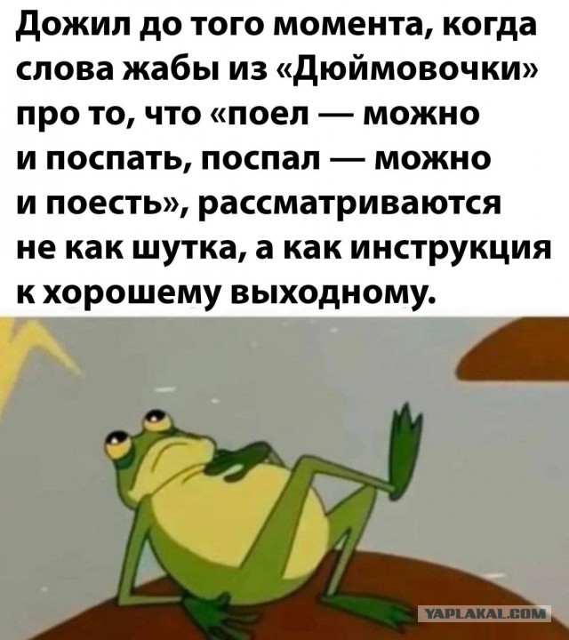 Так себе картинки 08.03.25