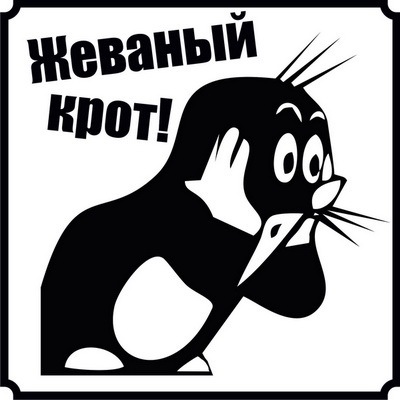 Папка с ответами