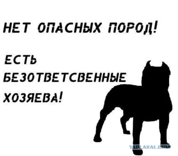 Картиночки, баянчики 08 декабря
