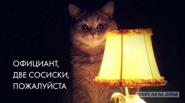 Че ноги не вытряхнул!