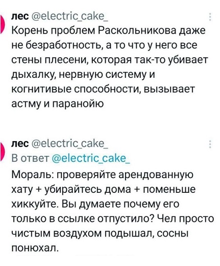Мой кот