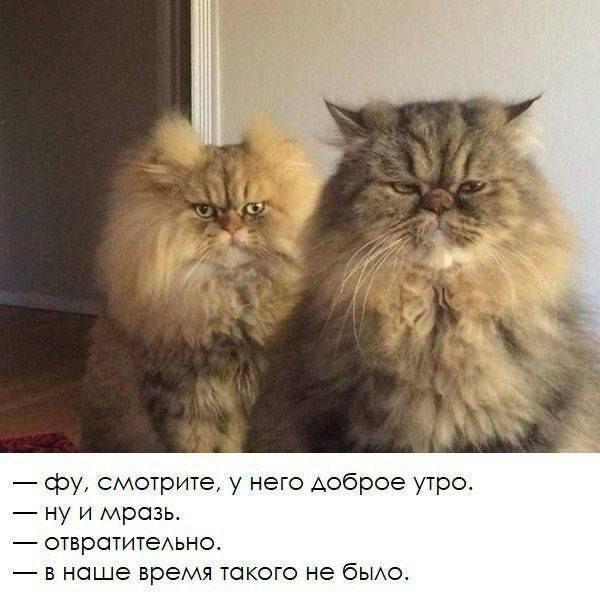 Картинки для деградации 129 (разной степени свежести)