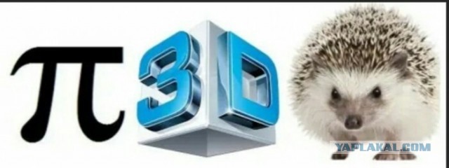 Кормим рыбку