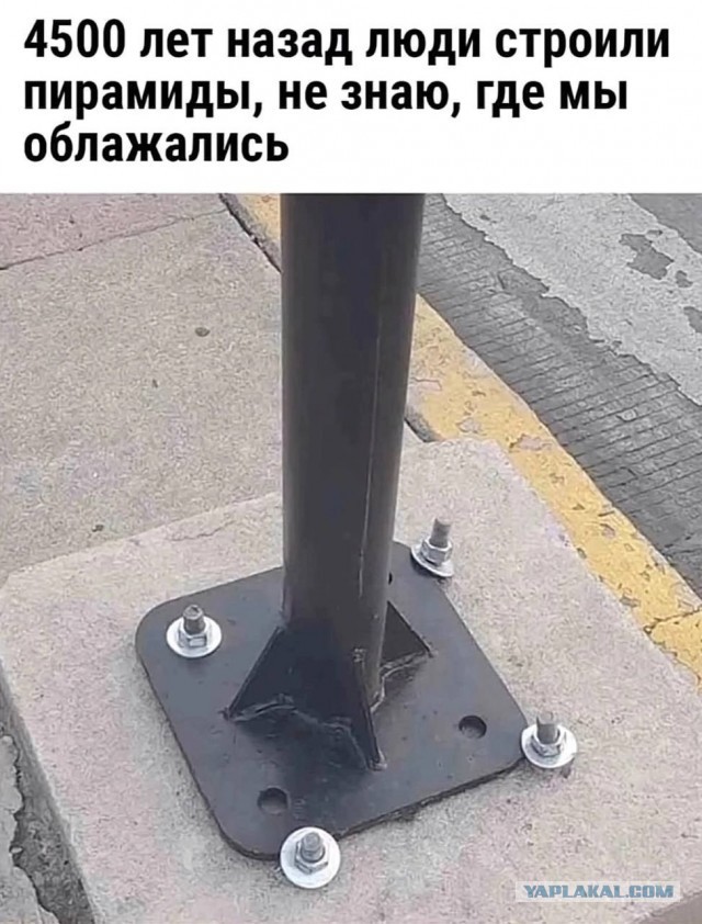 Картинки для деградации 203  (разной степени свежести)