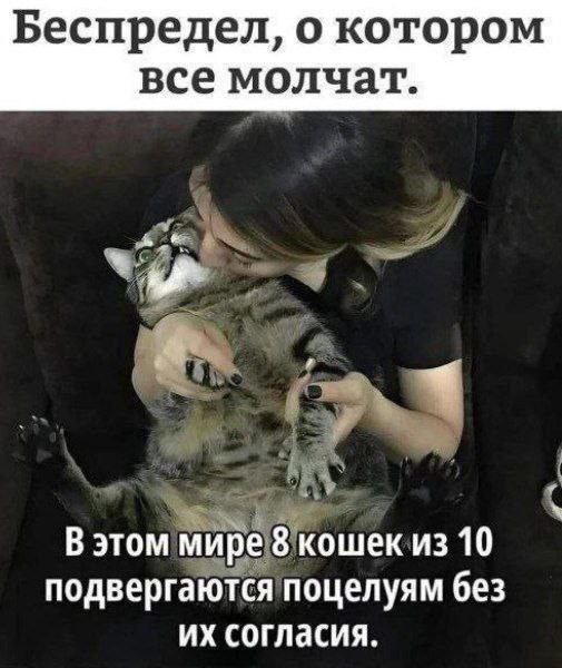 Медовые лапки