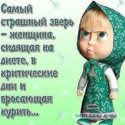 Коту не дали порешать вопросы...
