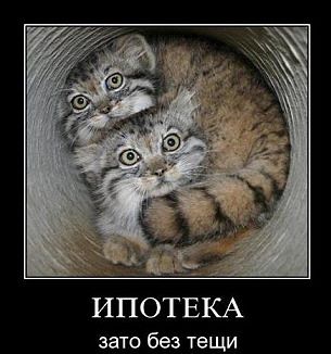 Капля позитива