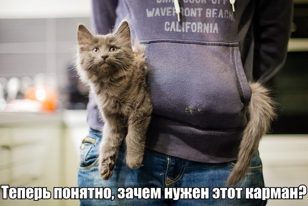 Веселые картинки № х/з