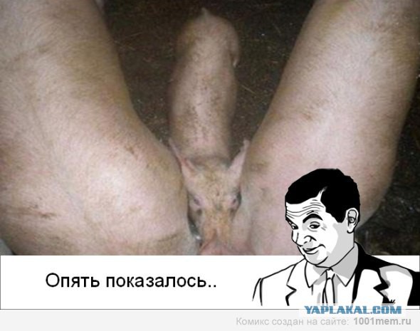 Картинки