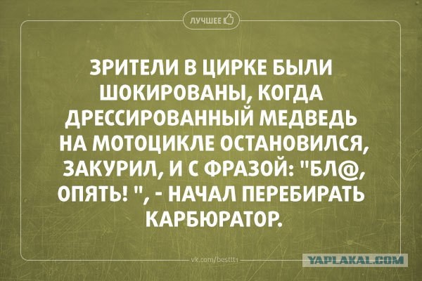 Новые "комментарии из соцсетей"