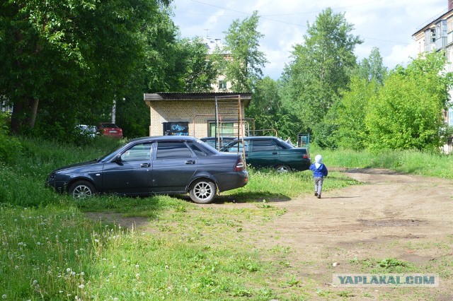 Мудаки и газоны