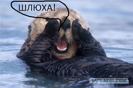 Поддержка- это не проституция