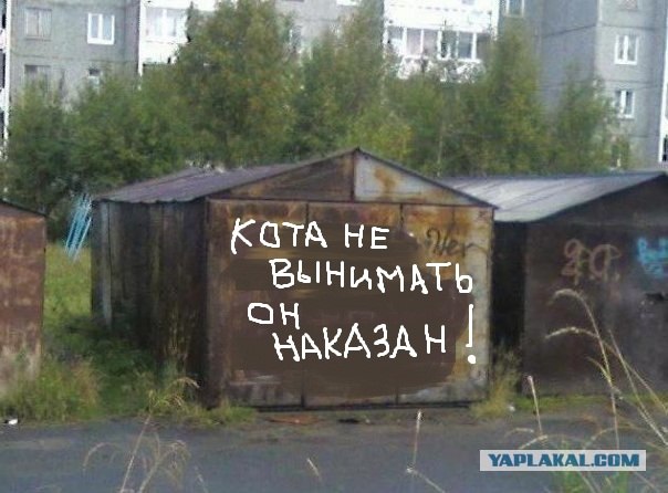 Надоел соседям.