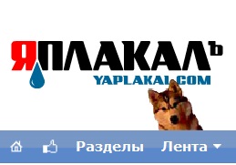 Новый питомец ЯПа?