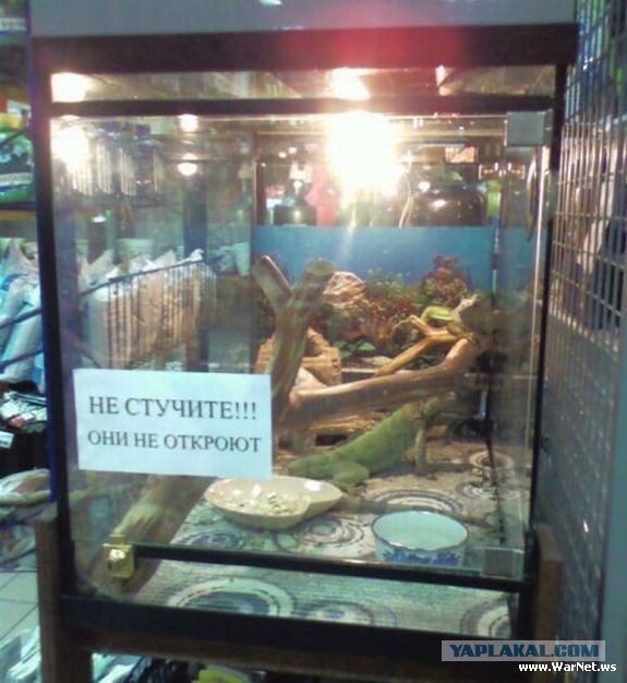 Смешное из сети #2