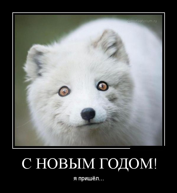 Весёлое из сети