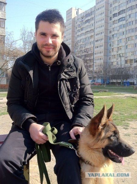 Самые популярные породы собак