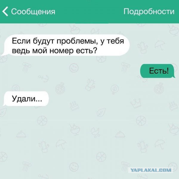 Приколы из соцсетей