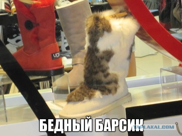 Для поднятия настоения