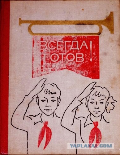 Мусульманке в Нью-Йорке сломали челюсть