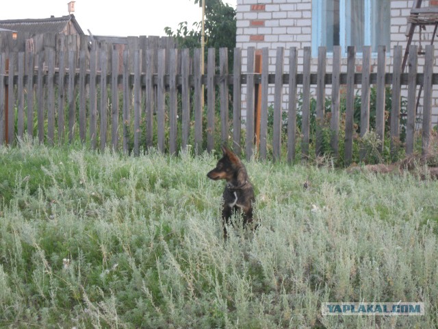 Деревня