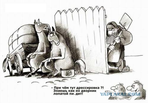 Подборка баянов.
