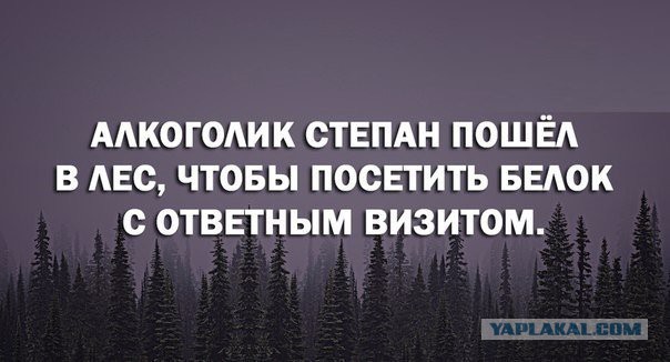 Пьяные поступки, которые трудно понять на утро