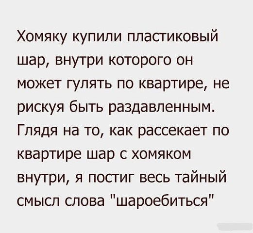 Весёлые картинки