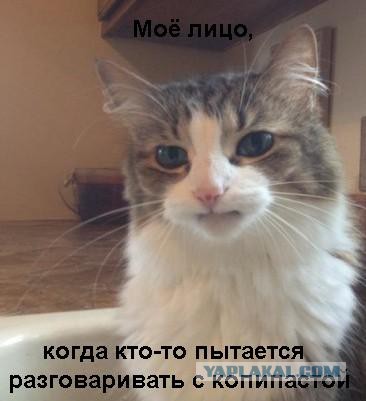 Странные совпадения
