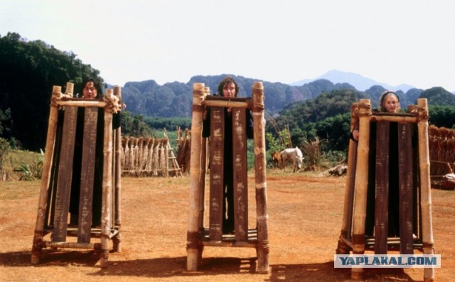 Это Китай, детка!