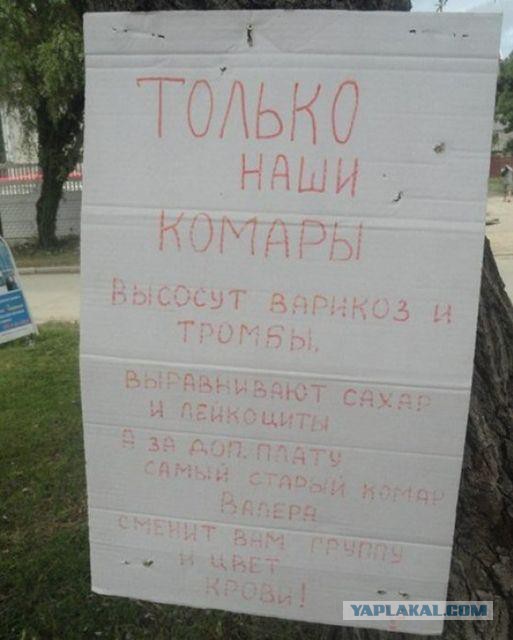 Бесит комар