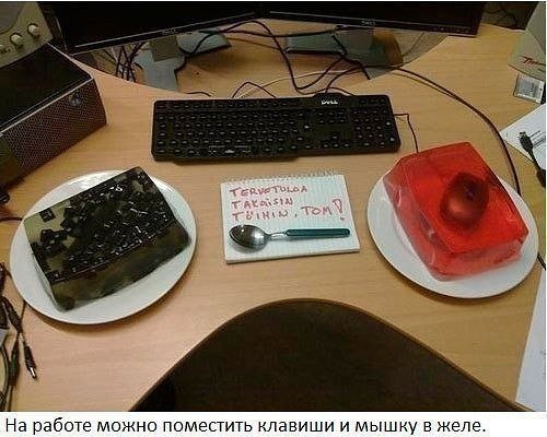 Подборка любопытных фотографий со всего света