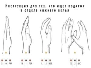 Удивительные факты о женском теле