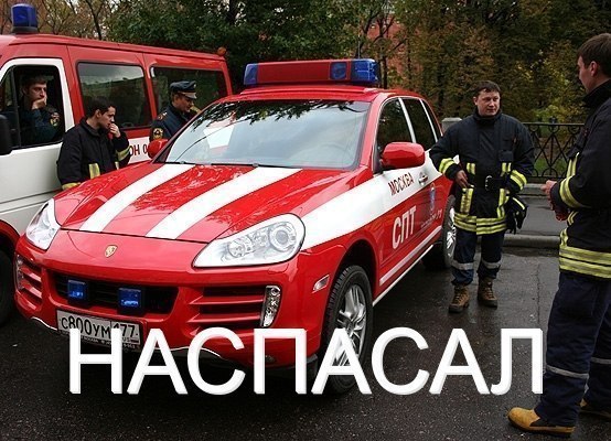 Порция картинок из сети.