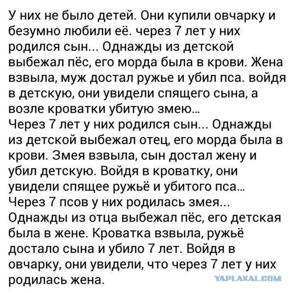 Муж любит жену, а она любит друга