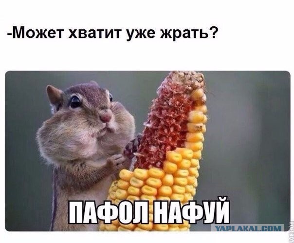 Голодание — лекарство номер один от болезней и старости