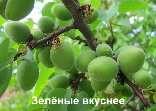 Поймут ли современные дети?