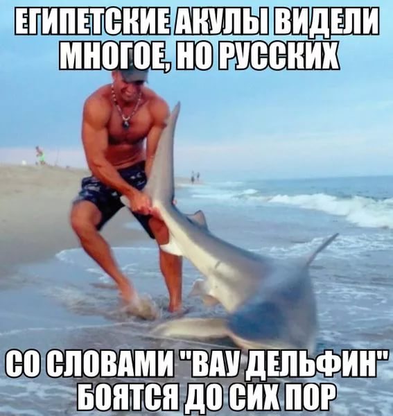Картинок всяких #2