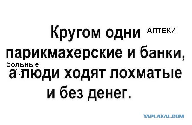 Перлы и высказывания