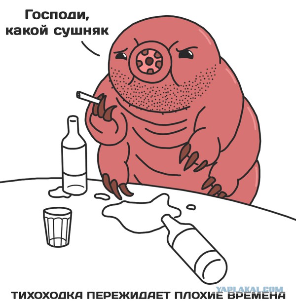Про "мы все просрали, нас сейчас разбомбят"