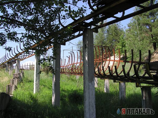 Киев