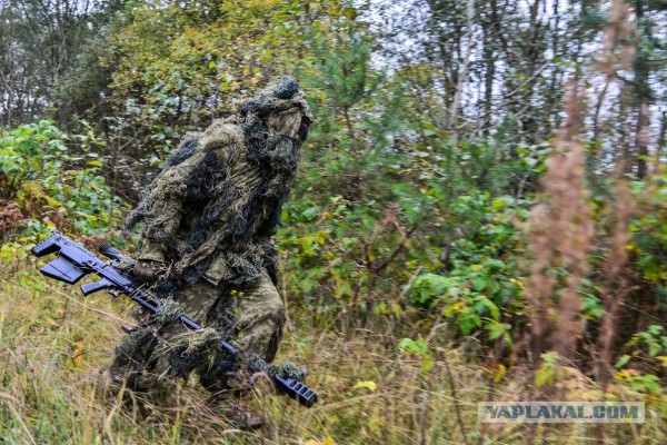 Пойди найди: снайпера ВДВ показали чудеса маскировки в лесах Псковской области