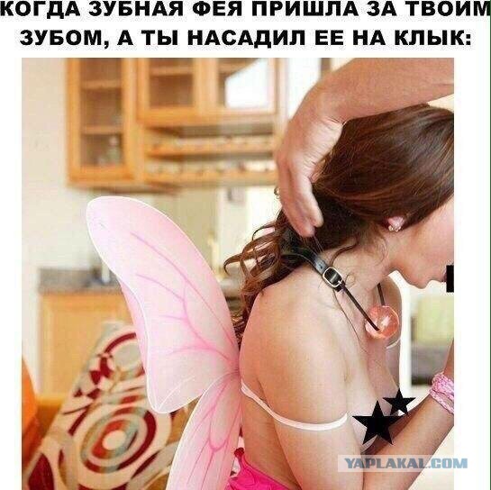Смешные комментарии из социальных сетей 01.12.2017
