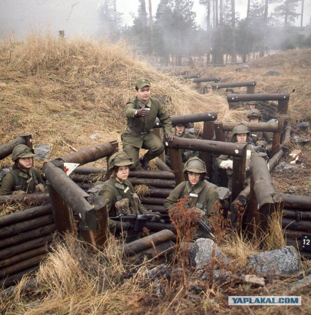 Шведская армия времен холодной войны
