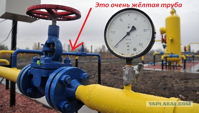 Украина купила газ в Европе в четыре раза дороже, чем могла купить у России, а у меня бомбит