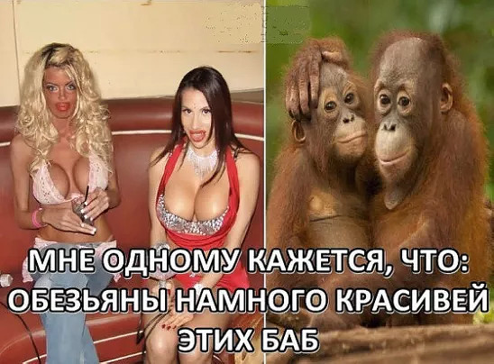 Деграграм на пятницу. Картинок пост