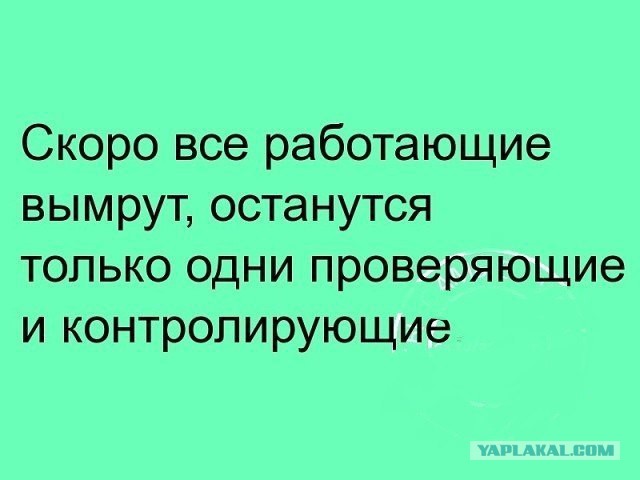 А пока все следили за бензином...