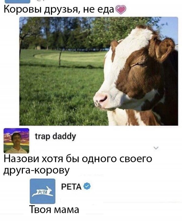 Нестандартный юмор